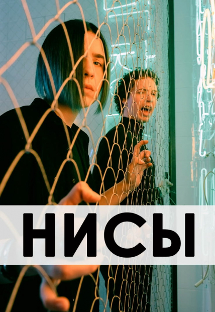 НИСЫ