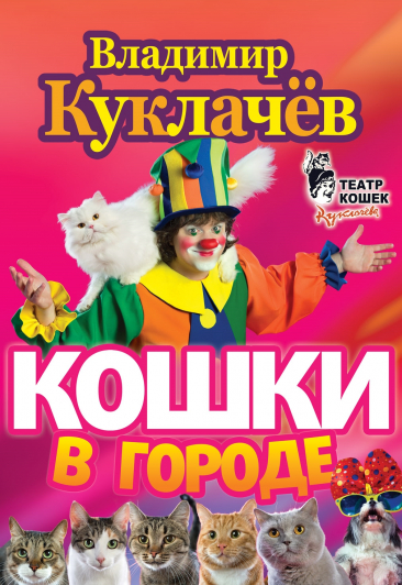 Кошки в городе Кошки в городе