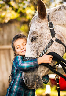 Фото афиши Путешествие на лошади для детей
