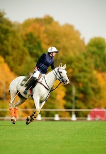 Фото афиши Осенний Кубок. Autumn Cup 2023