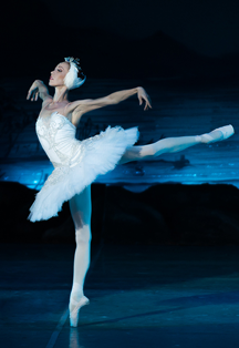 Лебединое озеро (The swan lake) Лебединое озеро (The swan lake)