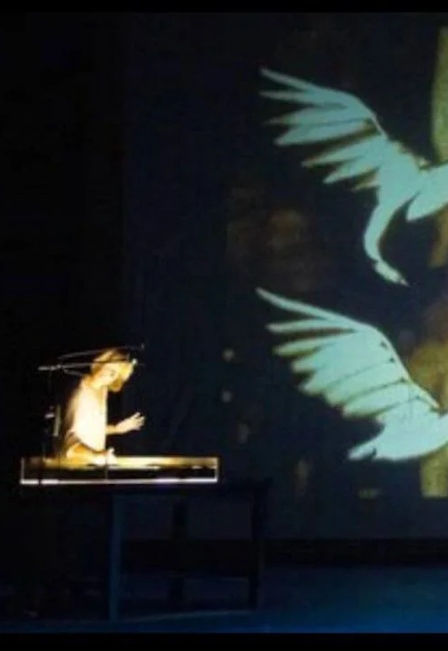 Постер Дикие лебеди в Москве