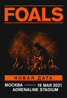 Foals Foals