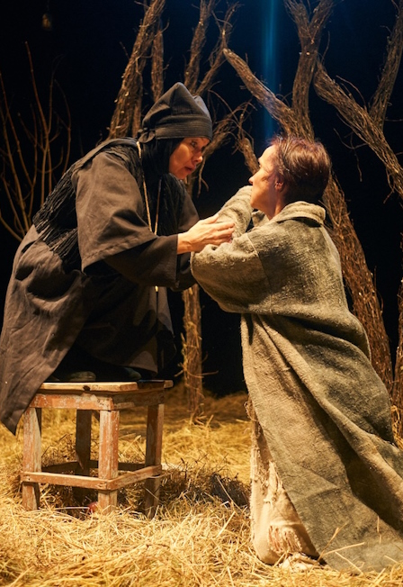 VIII БДФ «Корова» Брестский театр кукол