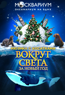 Вокруг света за новый год Вокруг света за новый год