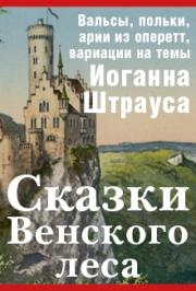 Камерный оркестр "Московская Камерата" Камерный оркестр "Московская Камерата"