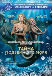 Новогоднее театрально-цирковое шоу на воде Новогоднее театрально-цирковое шоу на воде