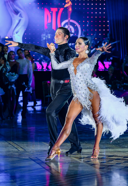 Цирк на воде шевченко. Тайна слонов великанов. Тула цирк афиша 2024. Тульский цирк афиша. Цирк альянс.