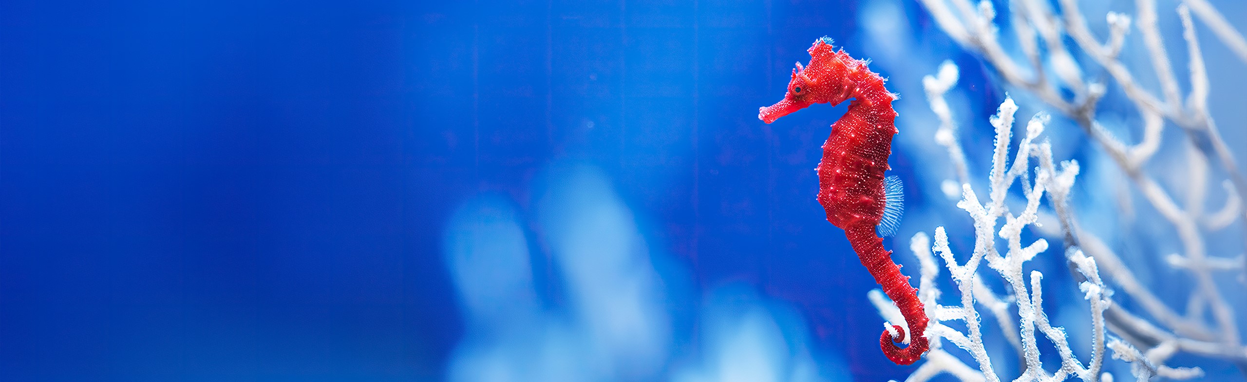 Постер Музеи для детей 3 лет в Москве в Москве