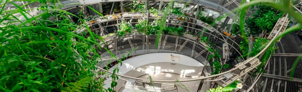 Постер Культурные ретроспективы в Москве