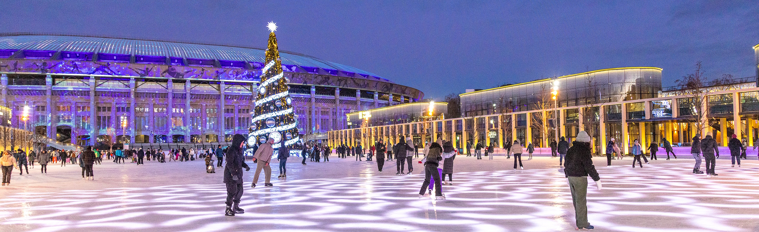 Фото афиши Каток «Лужники».