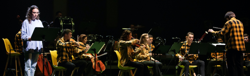 Постер Театр Ермоловой детские спектакли в Москве