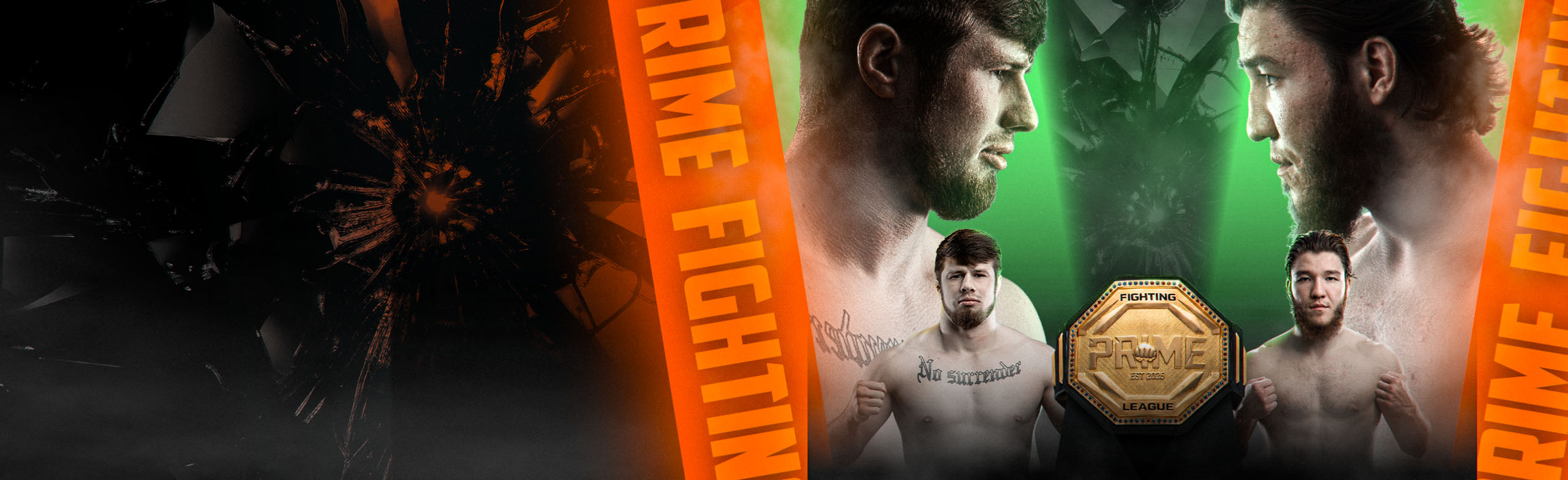 Фото афиши PRIME FIGHTING LEAGUE..
