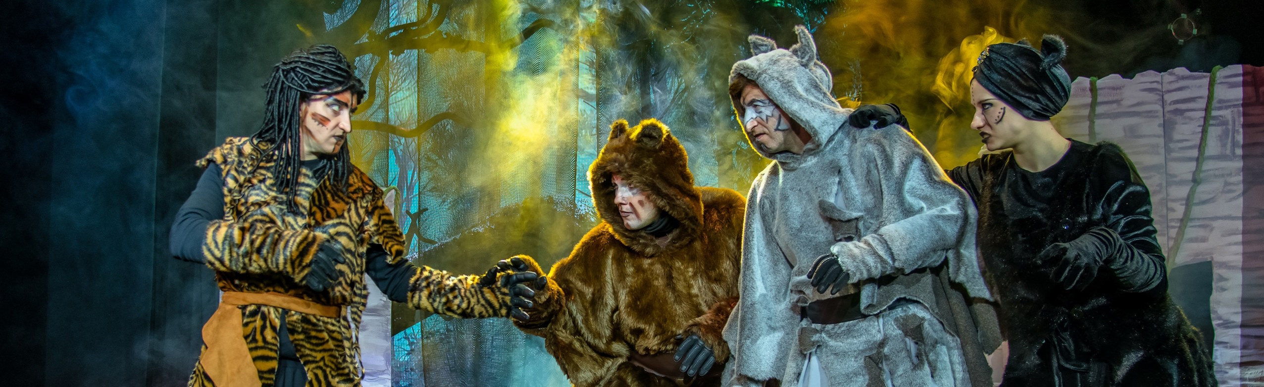 Фото афиши Маугли. Школьная классика. (Щелковский театр).