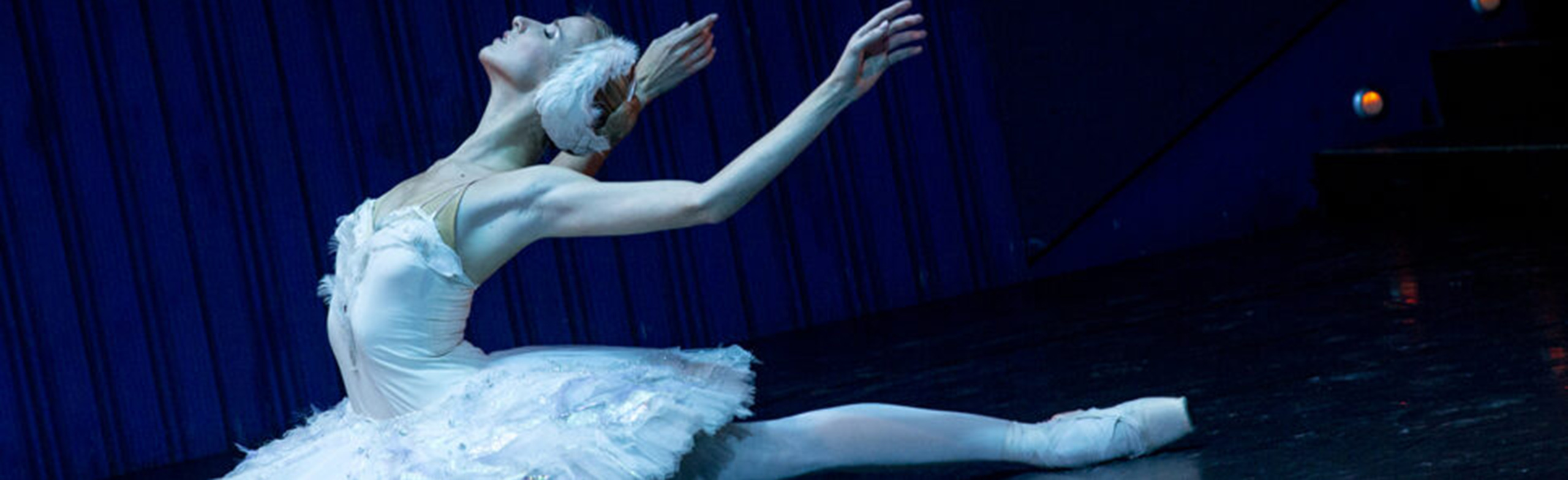 Постер Концерты в Москве