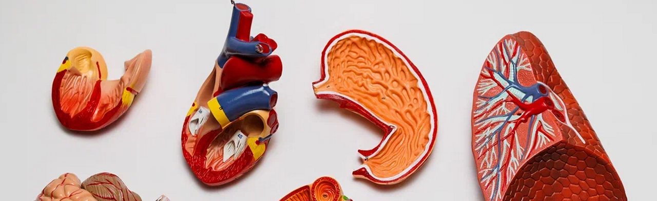 Постер Мастер классы для большой компании в Москве