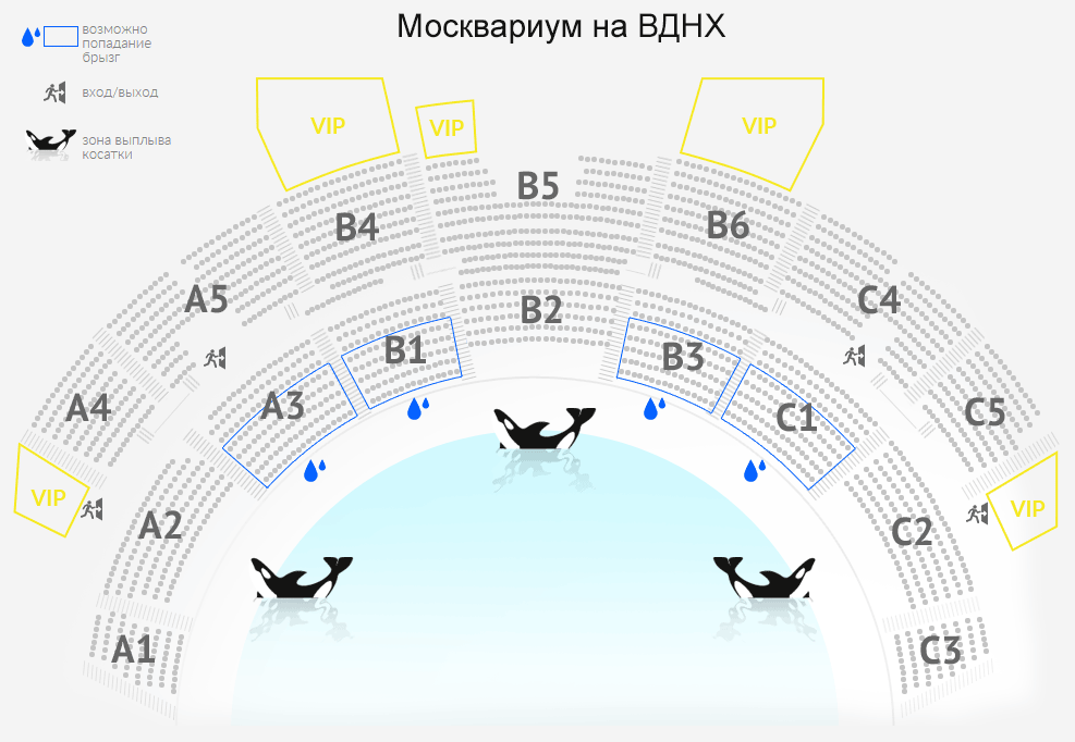 Схема зала для Вокруг света за новый год Схема зала для Вокруг света за новый год