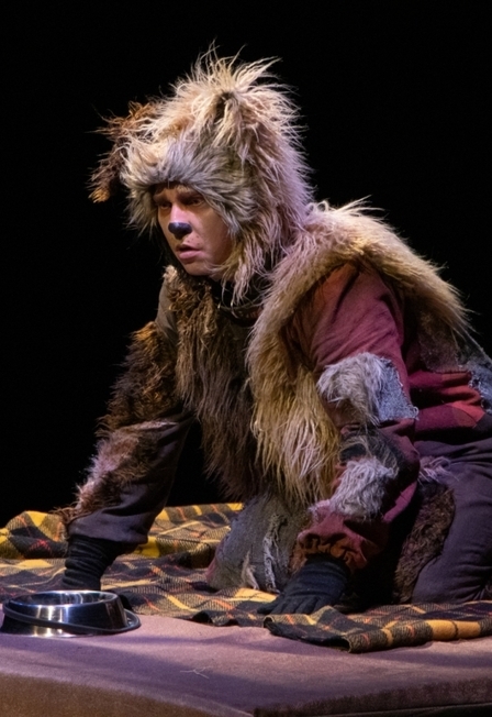 Пёс идёт домой