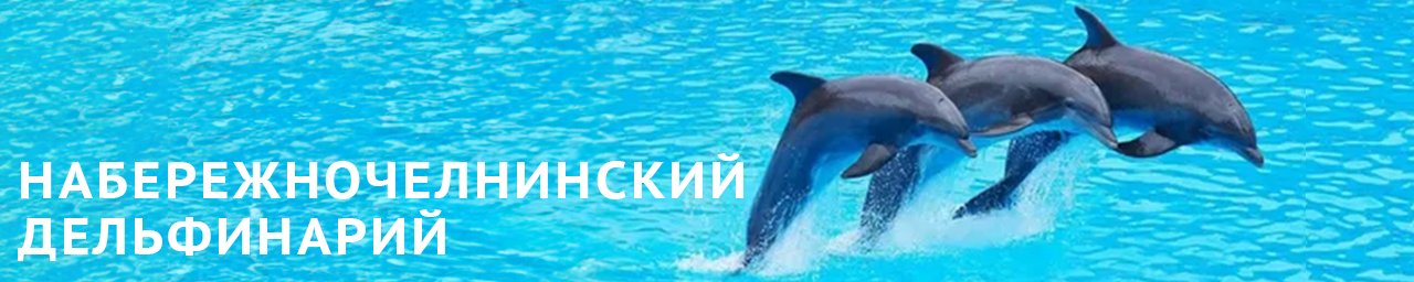 Дельфинарий