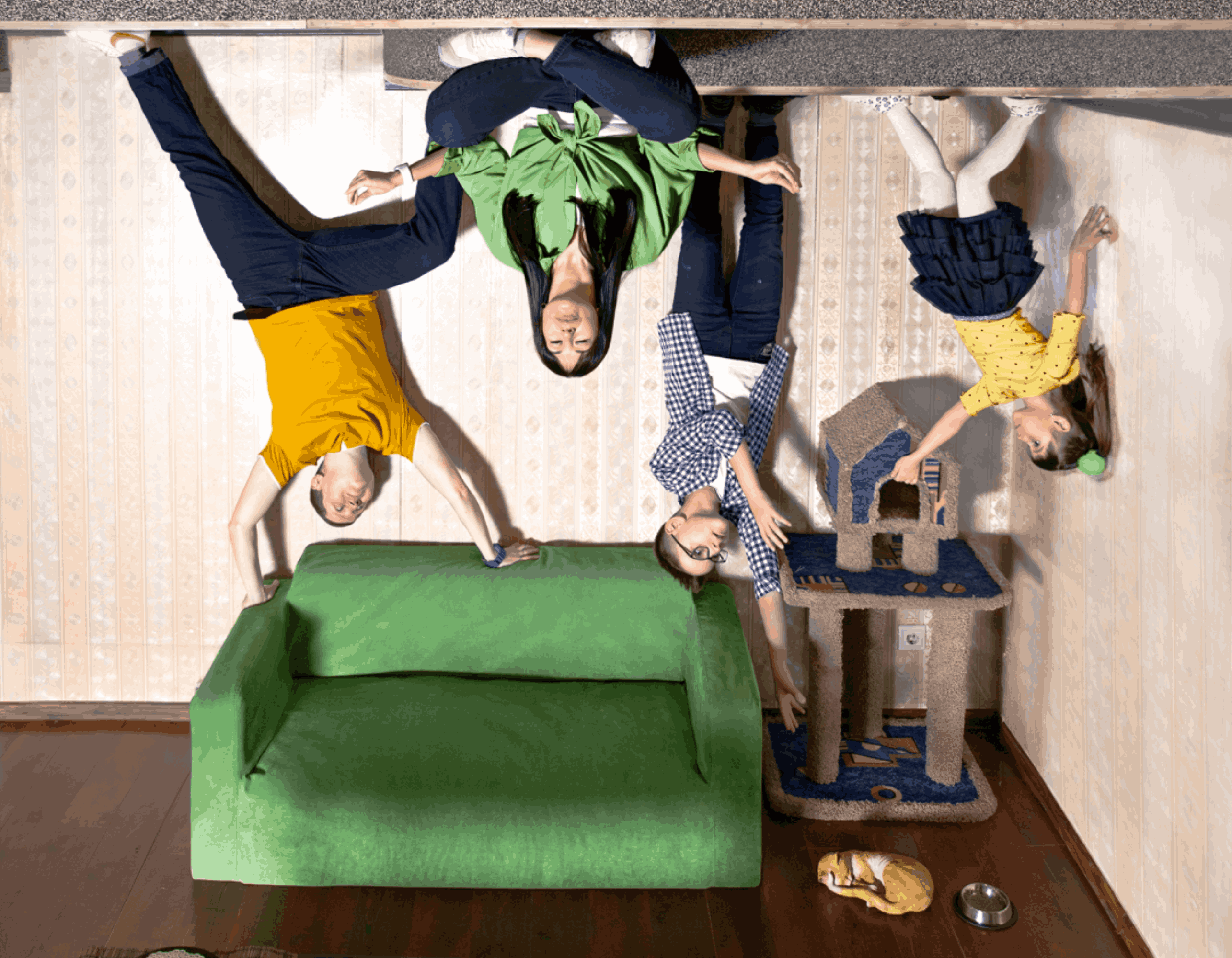 nn/gallery/c5/c5e87e4a247e7ebfaf320a50ae6dc885.png