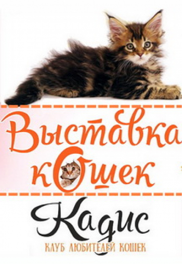 Выставка кошек "Гран-При Поволжья-2018" Выставка кошек "Гран-При Поволжья-2018"