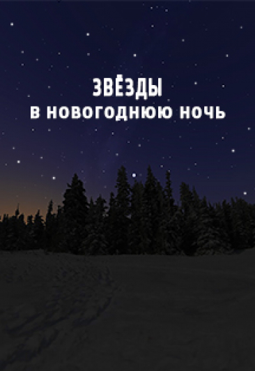 Звёзды в новогоднюю ночь Звёзды в новогоднюю ночь