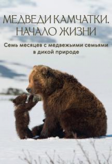 Медведи Камчатки. Начало жизни Медведи Камчатки. Начало жизни