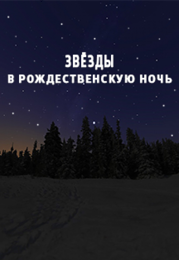 Звёзды в рождественскую ночь