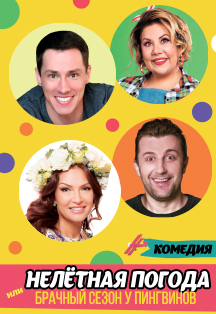 Нелетная погода или брачный сезон у пингвинов