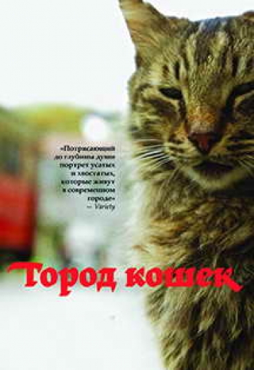 Город кошек
