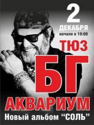 Концерт Бориса Гребенщикова Концерт Бориса Гребенщикова