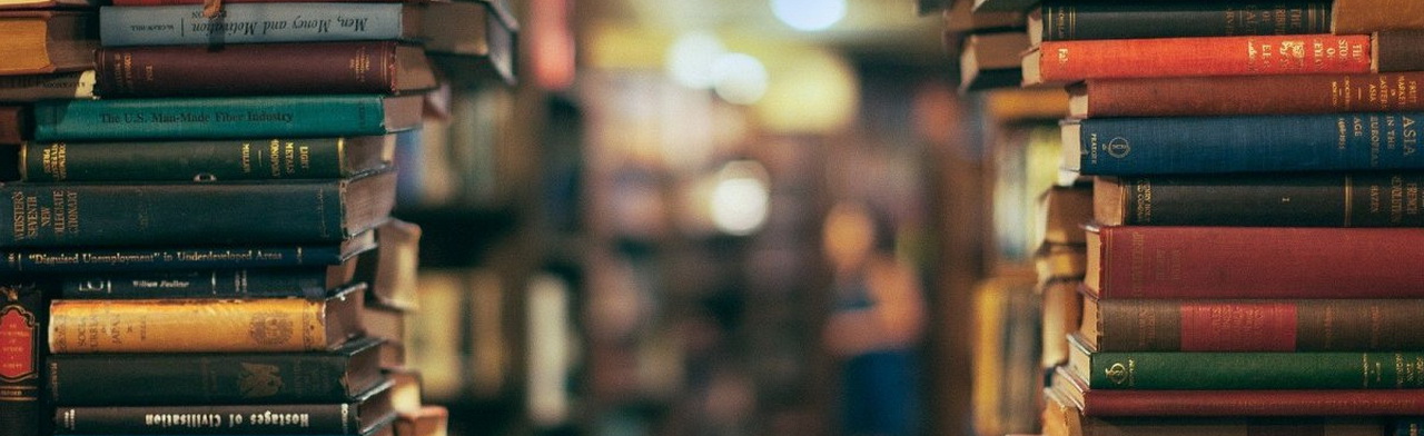 Программа «Книжные ралли» Фото афиши Программа «Книжные ралли».