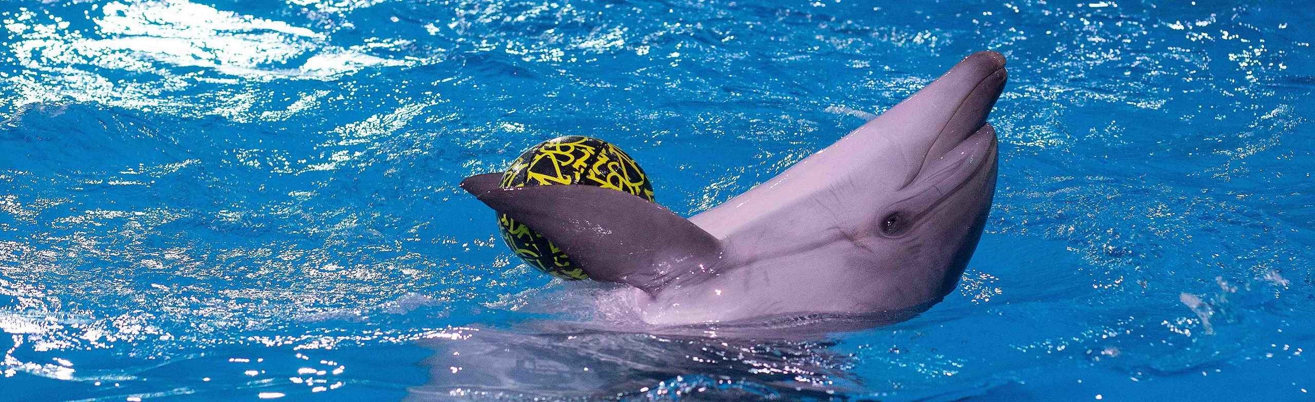 Постер Чёрная Пятница в Нижнем Новгороде