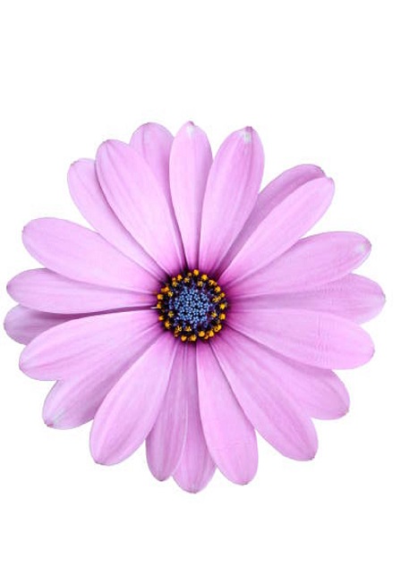 Весна в моём городе! ПРЕМЬЕРА!