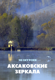 Аксаковские зеркала. Экскурсия по выставке Фото афиши Аксаковские зеркала. Экскурсия по выставке
