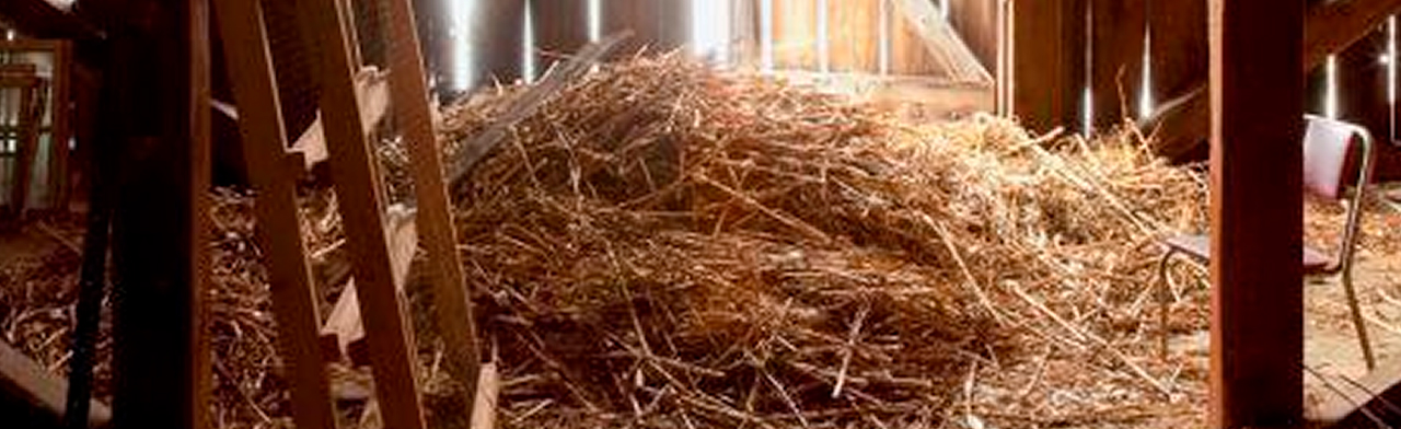 Постер Ближайшие спектакли в Оренбурге