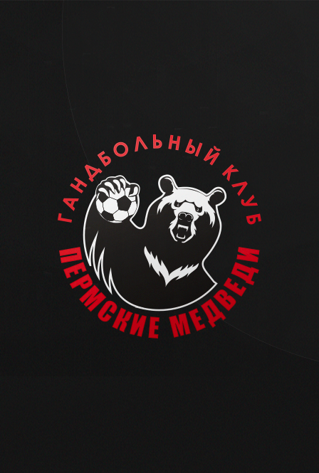 Гандбол. Пермские Медведи..