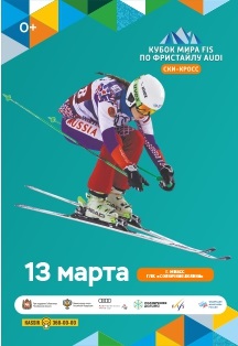 Кубок мира FIS по фристайлу AUDI Фото афиши Кубок мира FIS по фристайлу AUDI