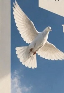 Любовь и голуби..