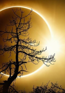 Проделки Луны