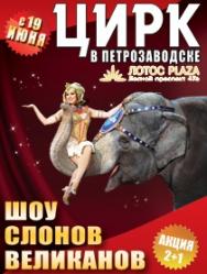 Цирк. Шоу слонов великанов Цирк. Шоу слонов великанов