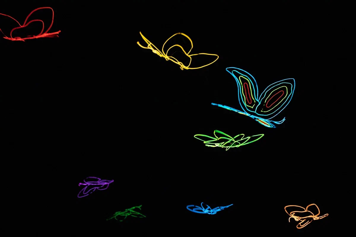 rnd/gallery/75/75e2975810110429b17c56062b4bc60d.jpg