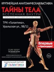 выставка "Тайны тела. Вселенная Внутри" выставка "Тайны тела. Вселенная Внутри"