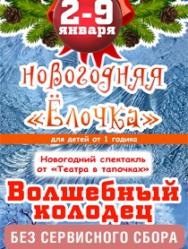 Новогодний спектакль "Волшебный колодец"