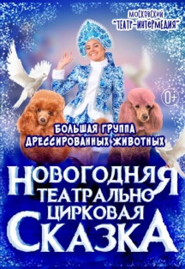Новогодняя театрально-цирковая сказка Новогодняя театрально-цирковая сказка