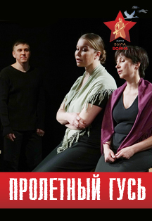 Пролётный гусь Пролётный гусь
