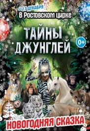 ЦИРК.Новогодняя программа ЦИРК.Новогодняя программа