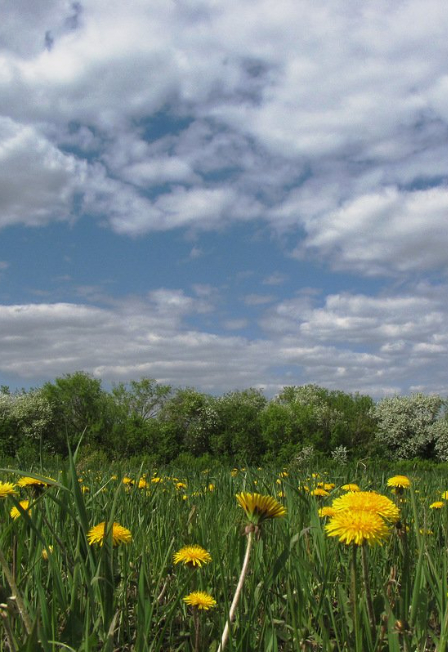 Всему начало здесь, в краю родном. Познавательный час