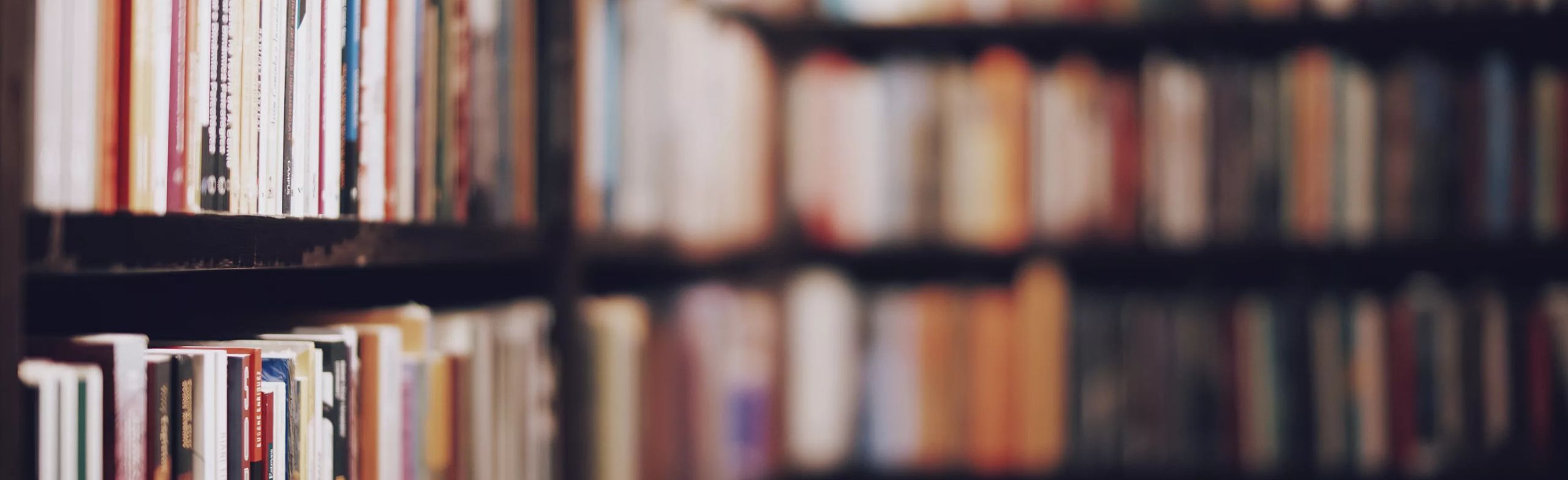 Литературный калейдоскоп