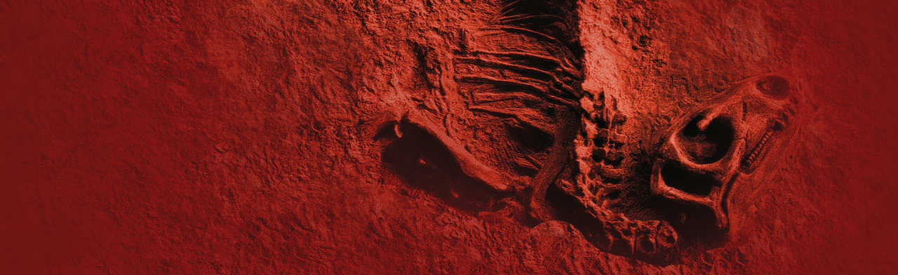 Постер Куда сходить 23 февраля в Ростове-на-Дону